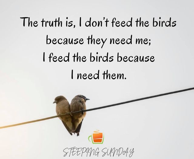 I Feed the Birds Because I Need Them